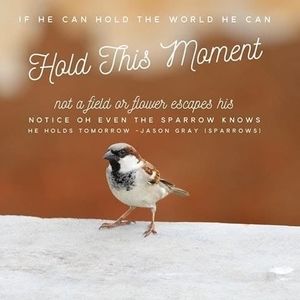 Meet your Posher, Nichole